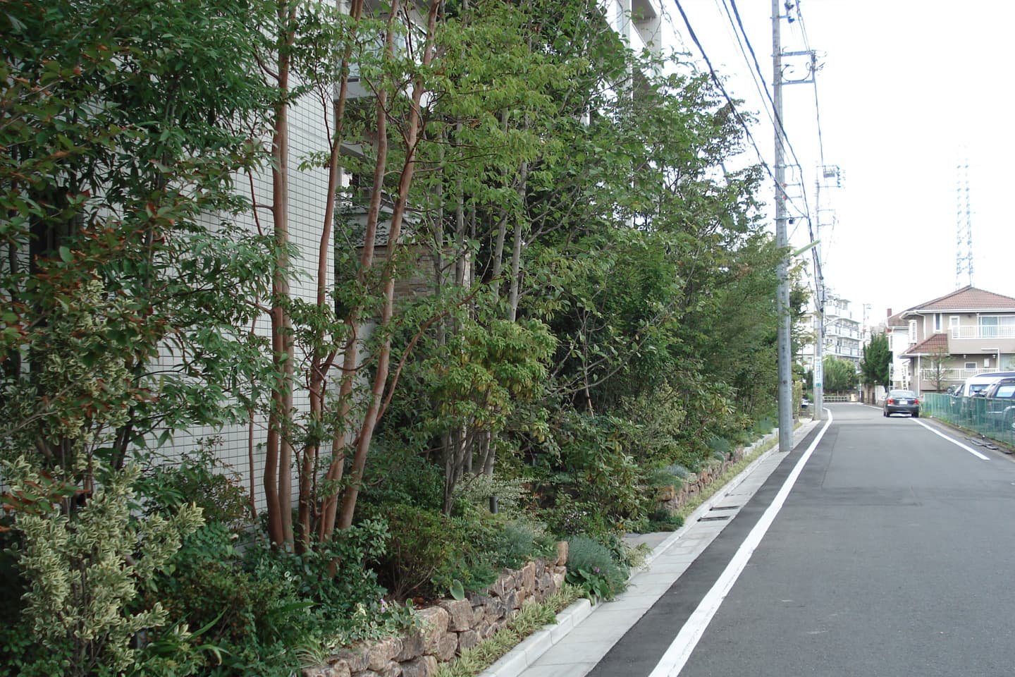 グランドメゾン千歳烏山