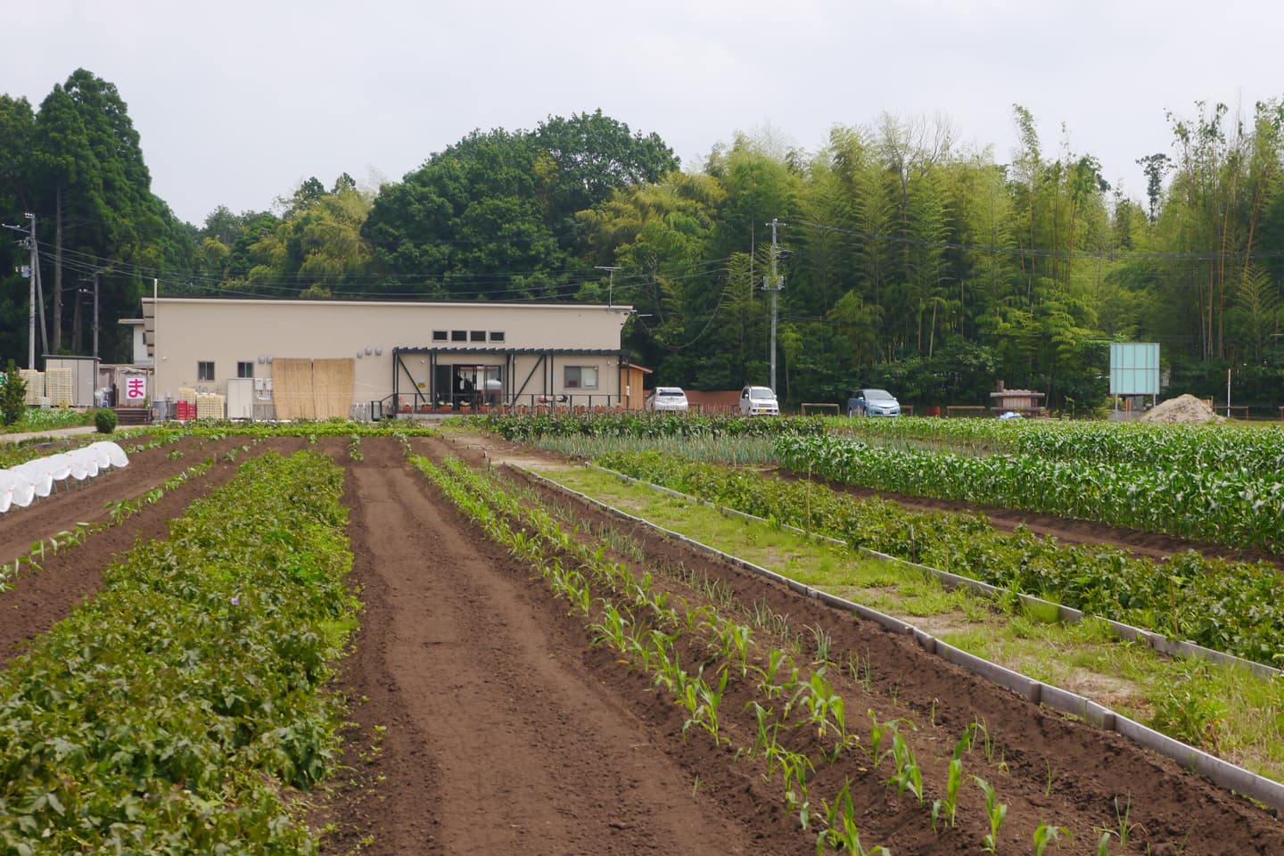 やもかのなかま